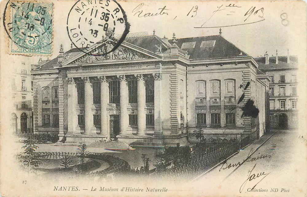 NANTES — Le Muséum d'Histoire Naturelle — Collections ND Phot - Recto