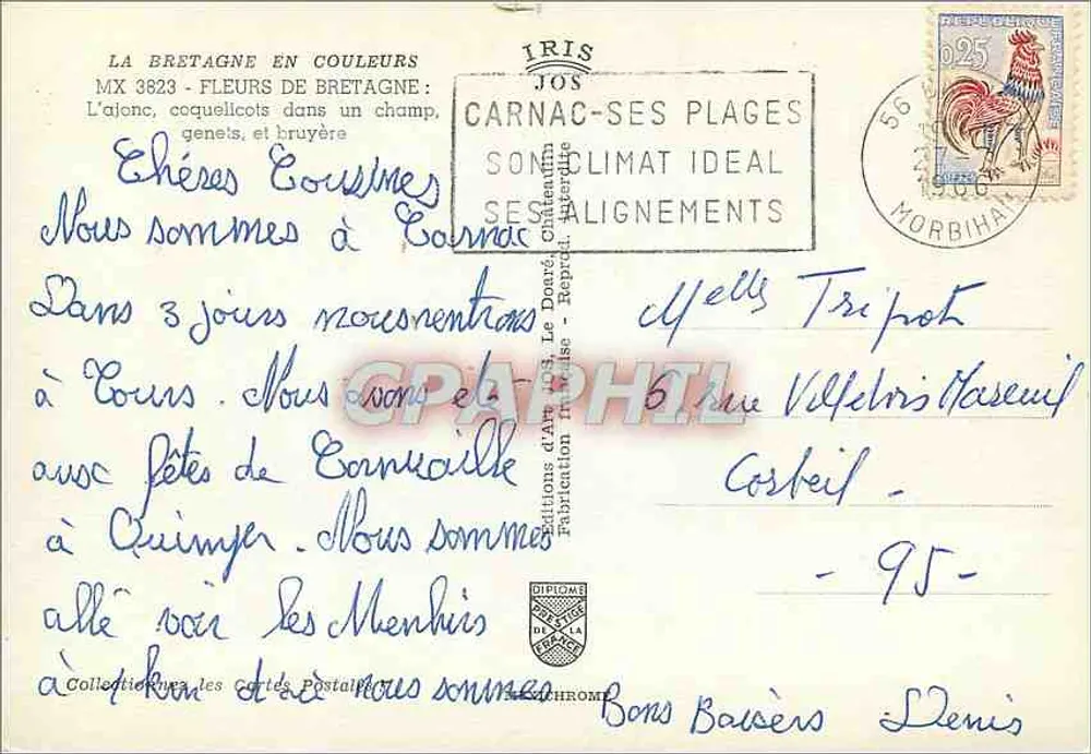 Flores da Bretanha — Carnac, Morbihan — Editor IRIS JOS - Verso