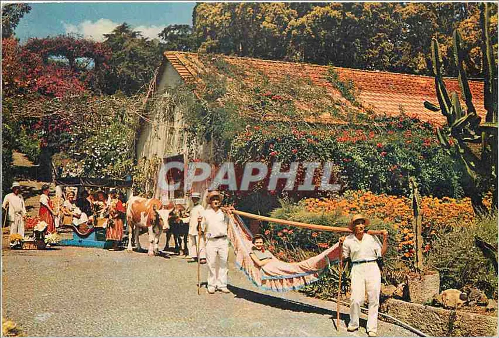 Madeira — Bullock Carro and Hammock at the Miramar Hotel - Front