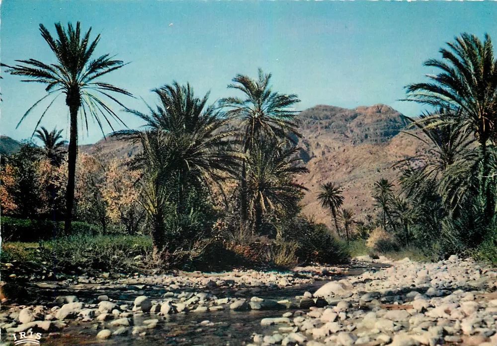 तफ्रौट — अम्मेलन घाटी — आयरिस - आगे