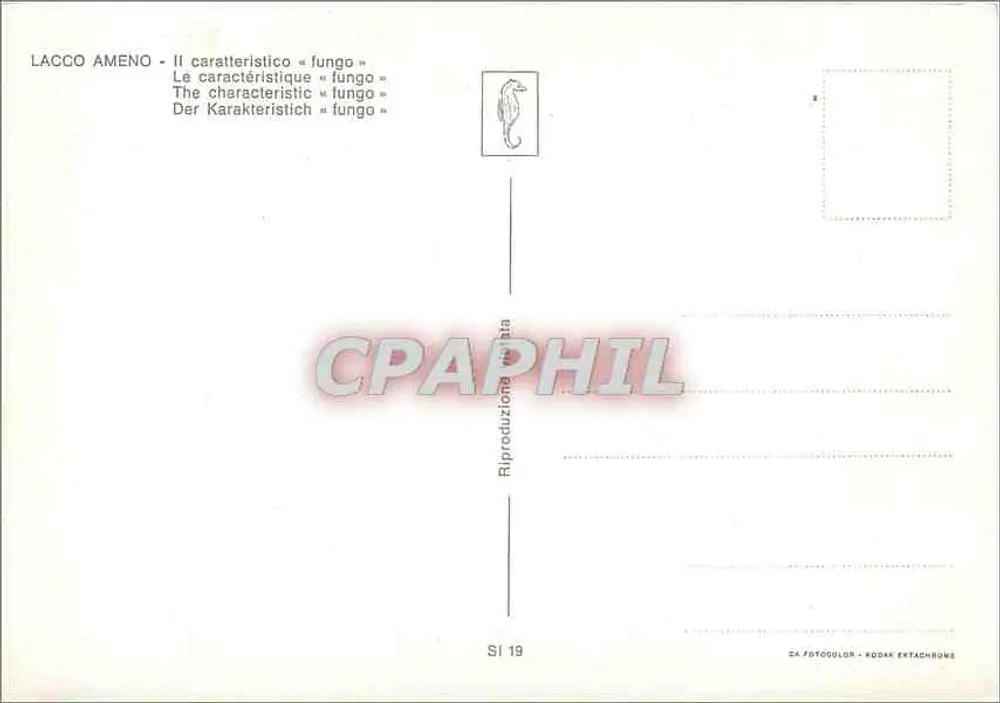 Lacco Ameno — Das charakteristische « fungo » — Reproduktion SI 19 - Rückseite