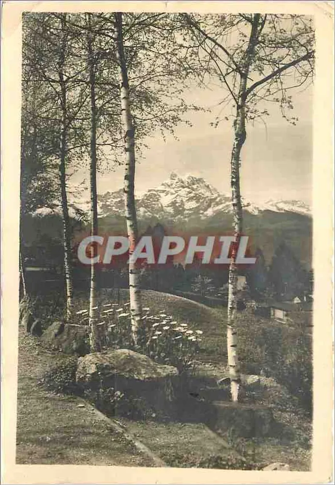 Villars-sur-Ollon — vista da montanha com bétulas — Foto Hunz, Villars - Frente