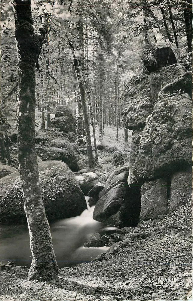 La Mouette — Forêt et rochers — Photo Véritable - Recto