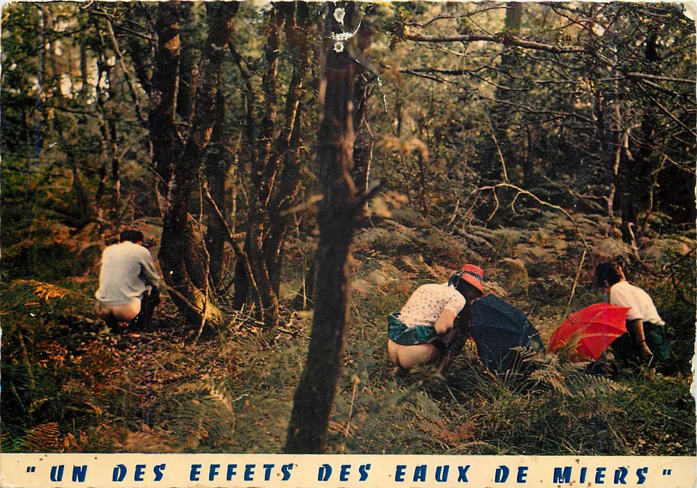 Um dos efeitos das águas de Miers — ALVIGNAC-MIERS (Lot) — Edições Mexichrome - Frente