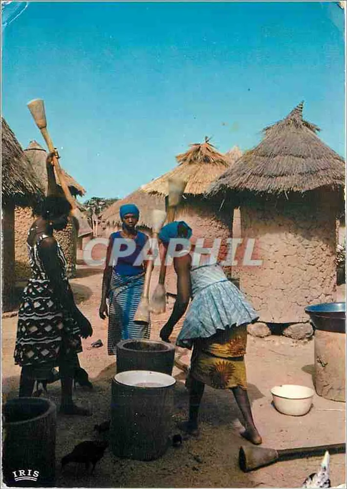 Mulheres trabalhando — Preparação do jantar — Iris - Frente
