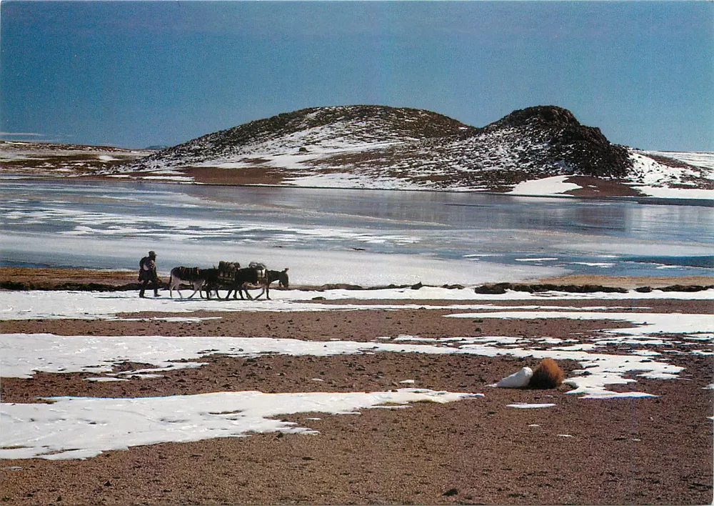Laguna Totoral — Bolivia — di Denis Wirrmann. 1984. - Recto