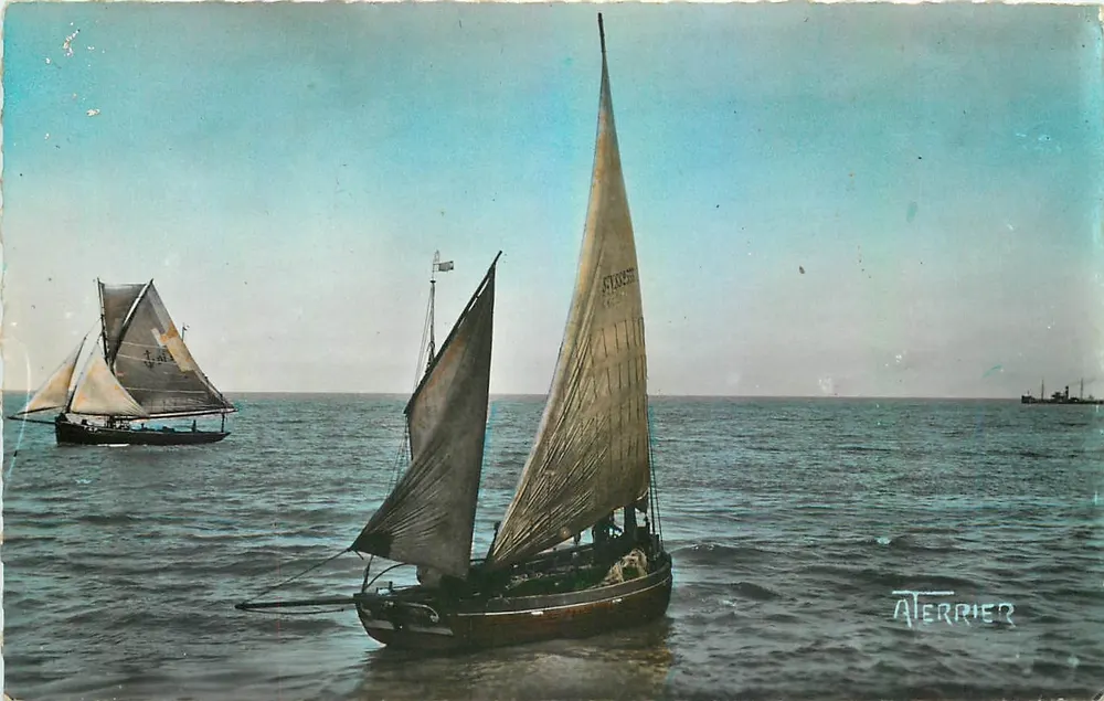 Barcos da Região do TRÉPORT — Somme (Somme-Bains) — A. TERRIER, n° 3624 - Frente