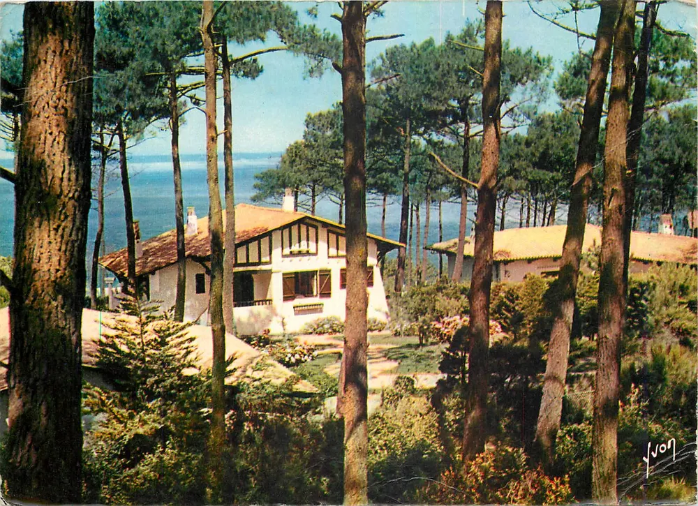 Bassin d'Arcachon — Chalet na floresta de pinheiros — Éditions J. Art, Arcachon - Frente