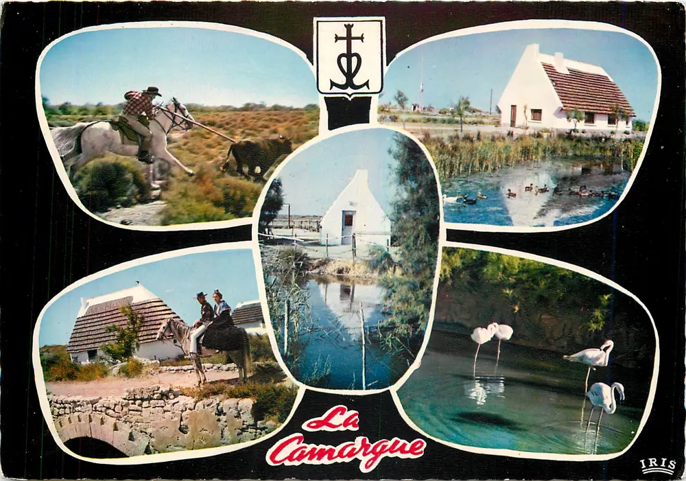 La Camargue — paysage et faune — IRIS - Recto