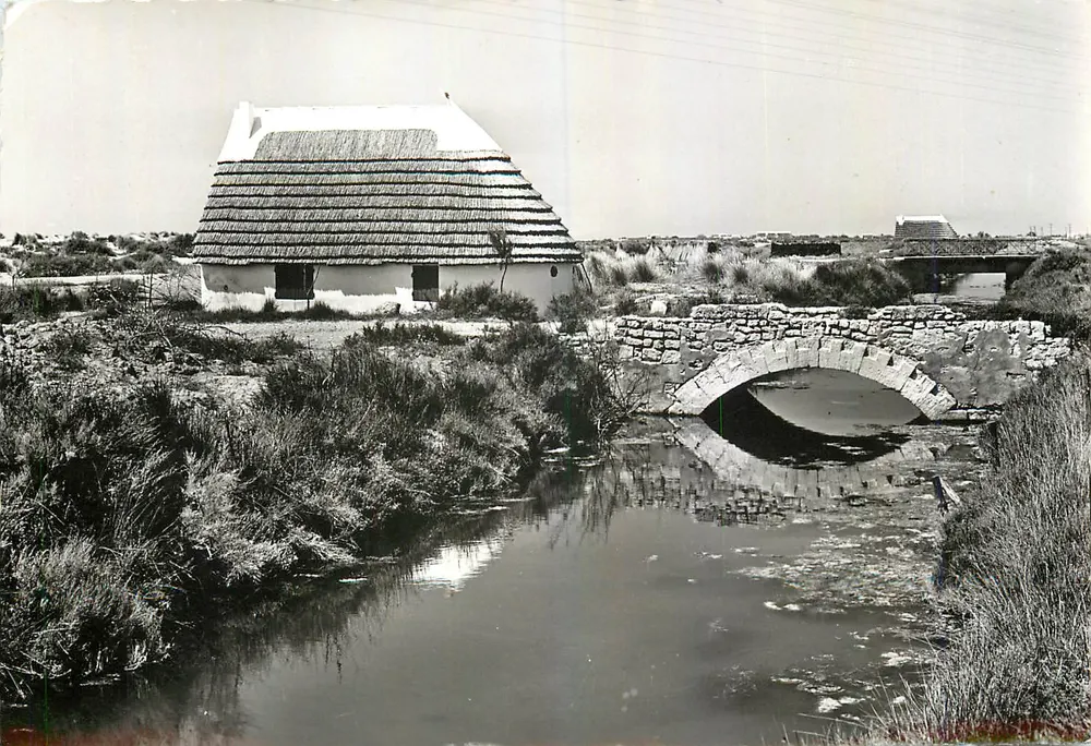 Camargue — Paisagem de Camargue e cabana de guardião — Edições S.E.P.T., Nice - Frente