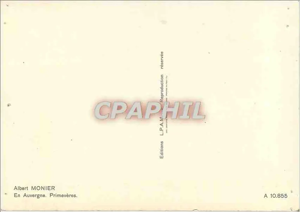 Gele bloemen — voorgrond — Albert MONIER, A 10.855 - Achterkant
