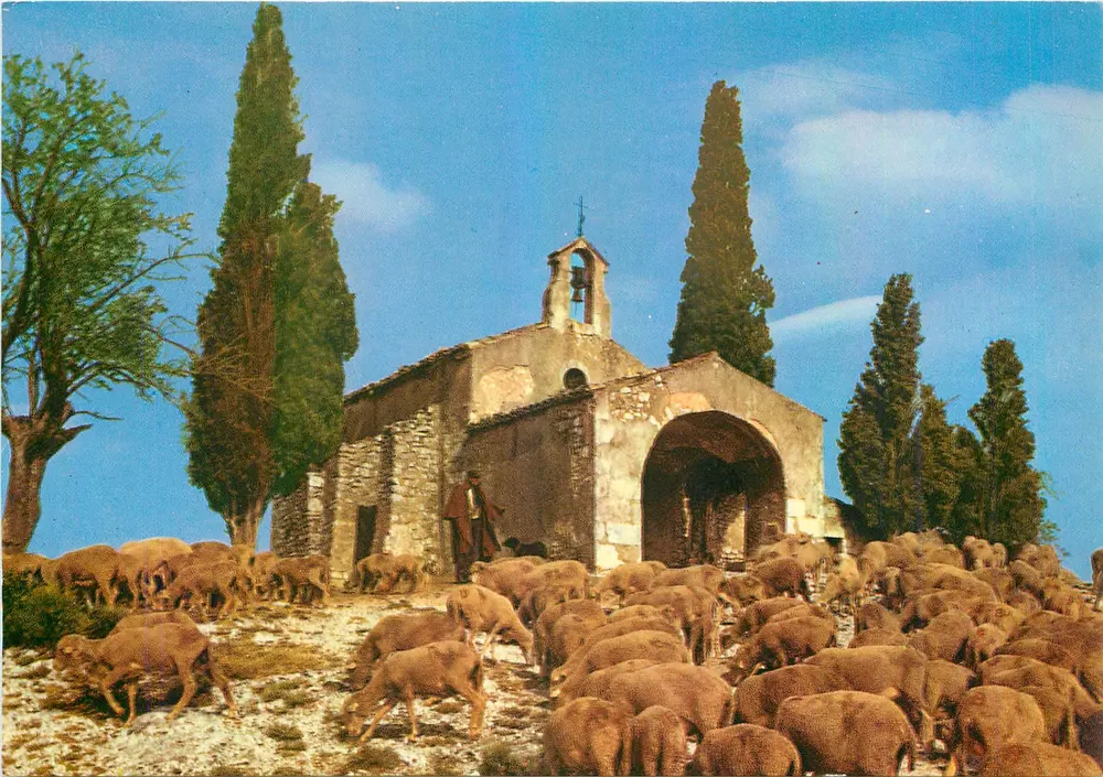 Igreja de campo — rebanho de ovelhas — Sociedade Éditions de France, n° 22841 - Frente