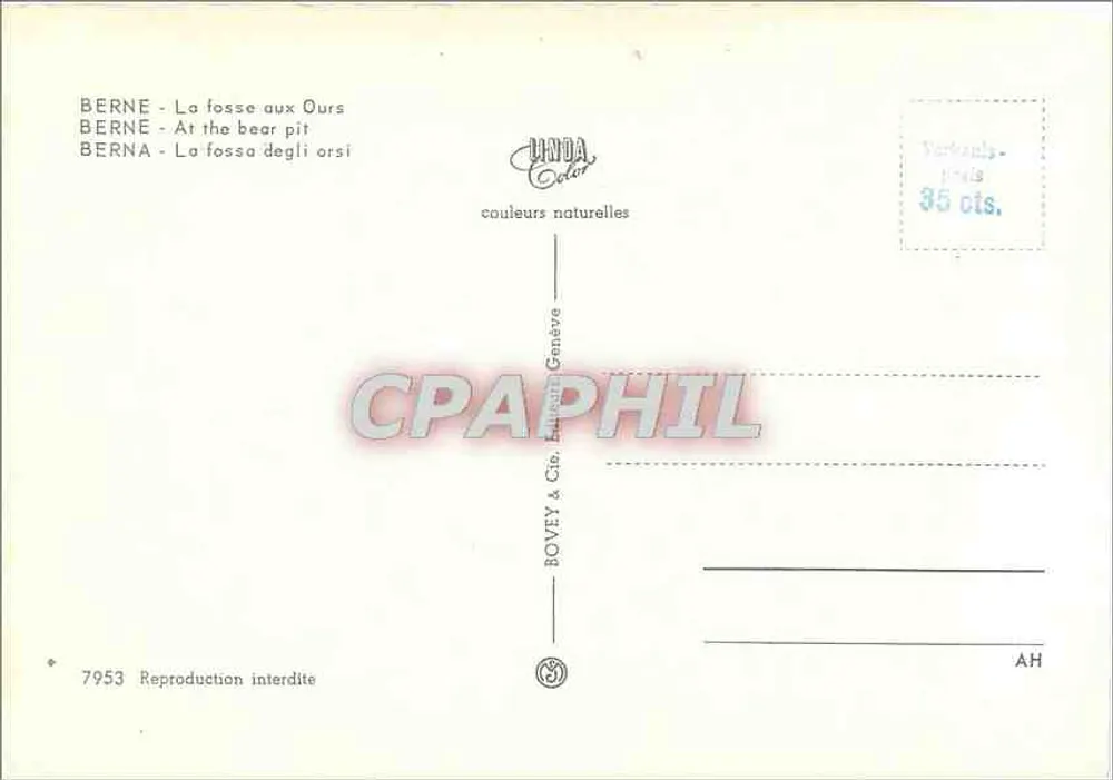 Bern am Bärengraben — zoológico de Berna — editor BOVEY & Cie, Genebra, n° 7953 - Verso