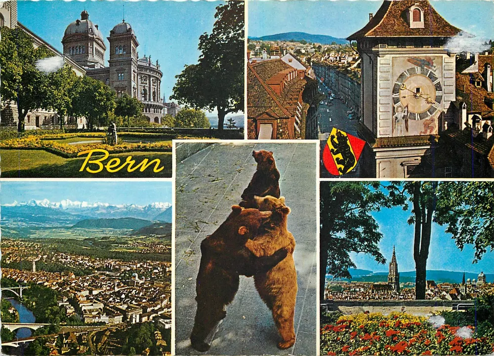Bern — vista panorâmica e animais — Photoglob-Wehrli AG, n° 3146 - Frente