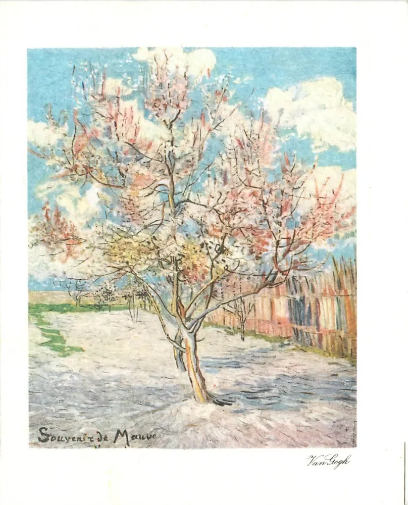 Souvenir de Maure — reprodução de uma obra de Van Gogh — editor M.D. Paris - Frente