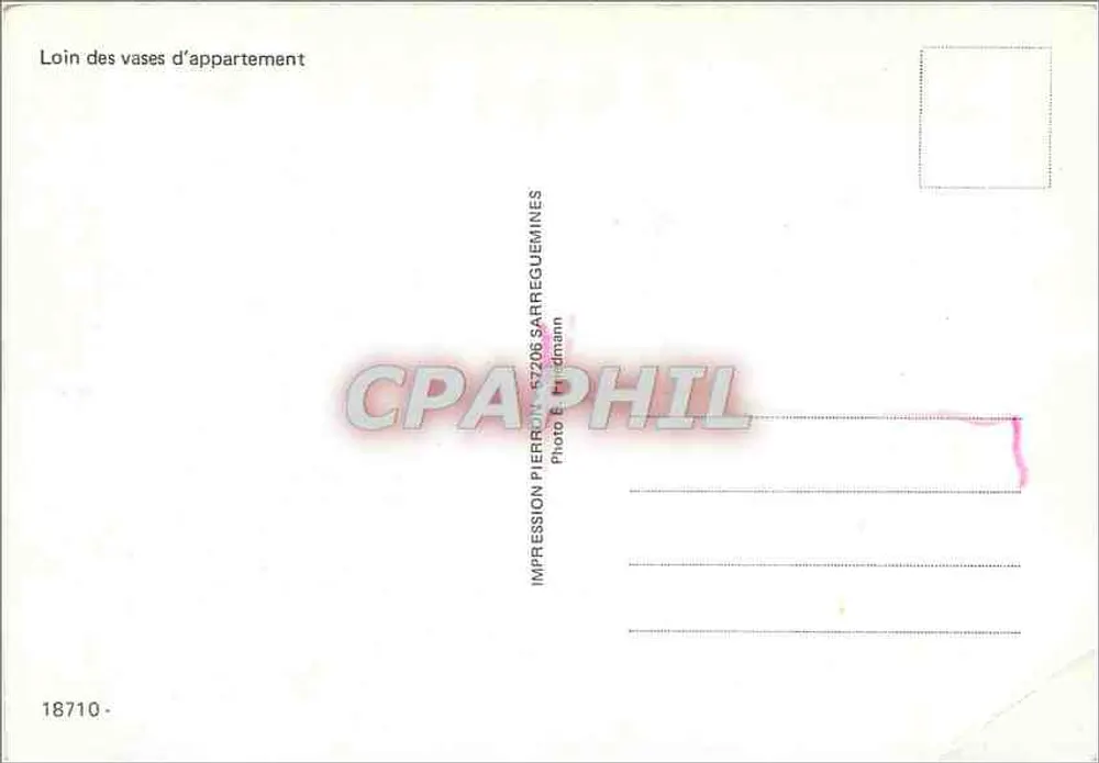 लिलास लाल धब्बों वाला — एक जंगली फूल — प्रिंट पियर्रॉन, 57206 सरेगुमिन्स - पीछे