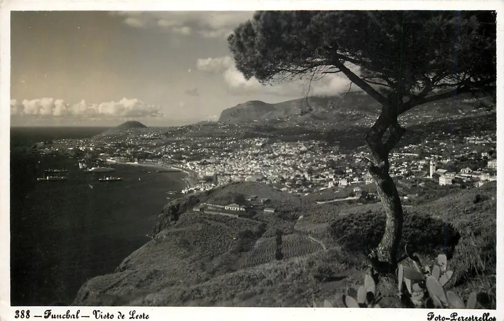 Funchal — Visto de Leote — Foto-Leresrellos n°388 - Frente