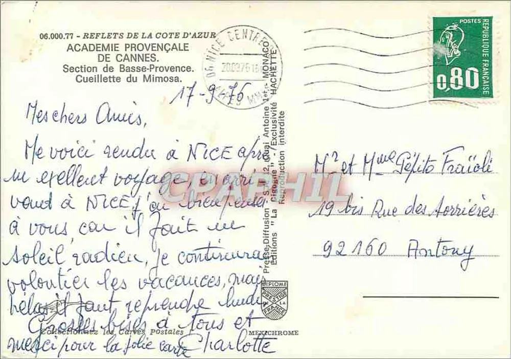 Colheita do mimosa — Provence — Éditions Iris - Verso