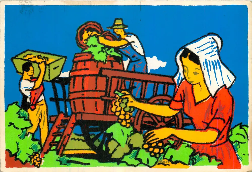 Colheita de uvas — ilustração estilizada — editor não identificado - Frente