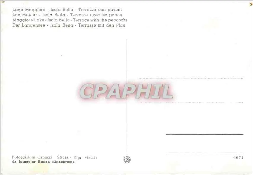 Lago Maggiore - Isola Bella - Terrasse mit Pfauen — Fotoedizioni Capucci, Stresa, n° 6071 - Rückseite