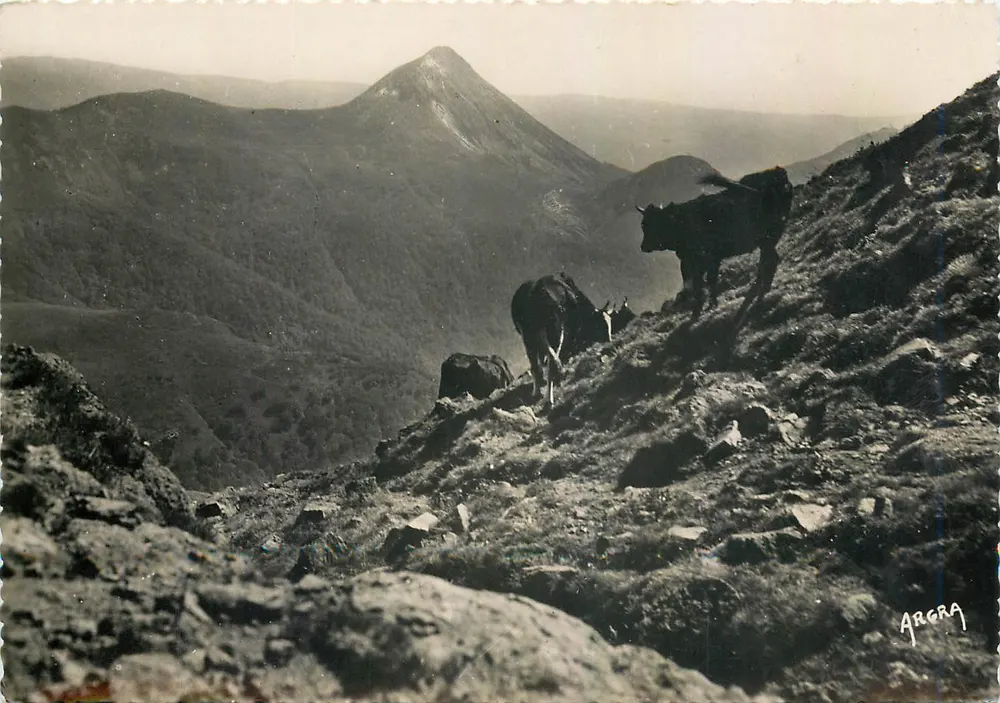 Le Puy-Griou (Cantal) — Aussicht von den Hängen des Puy-Mary — n° 213 - Vorderseite