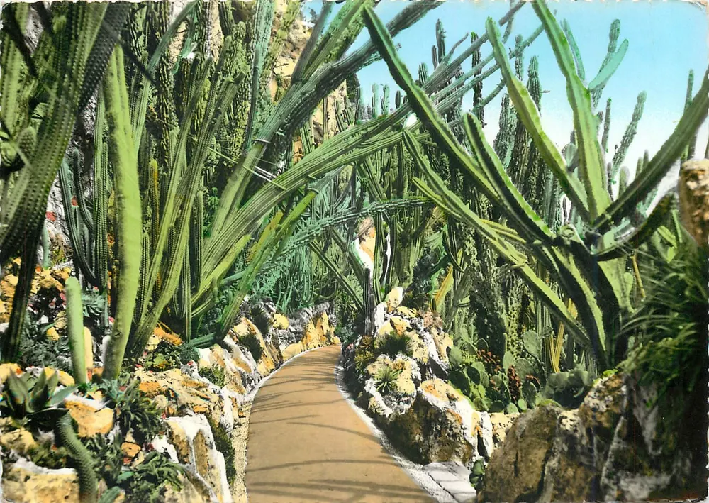 Exotischer Garten — Monte-Carlo — Monaco - Vorderseite