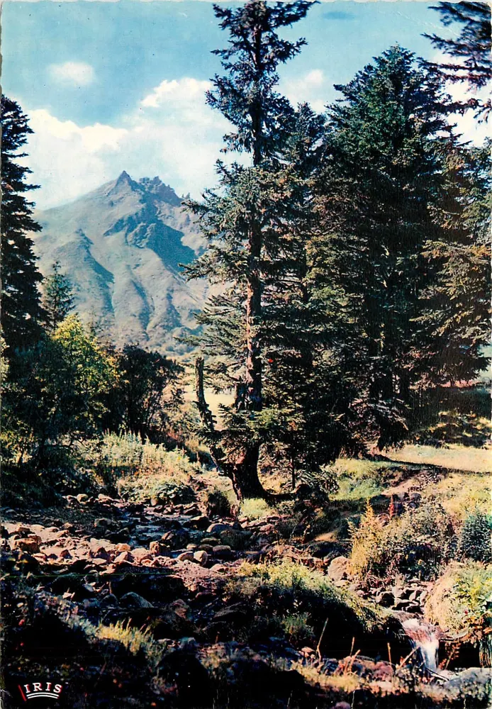 Die Dordogne am Fuße des Sancy — Umgebung von Mont-Dore (P.-de-D.) — Verleger Iris - Vorderseite