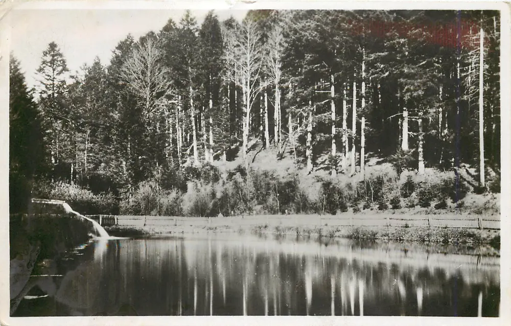 Lago na floresta — vista da vale do Reno — editor não identificado, n° de série 32 - Frente