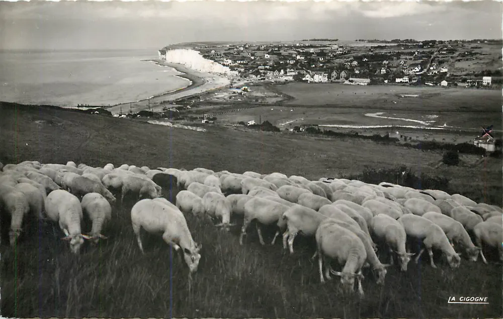 Criel-sur-Mer — Panorama vom unteren Kliff — La Cigogne - Vorderseite
