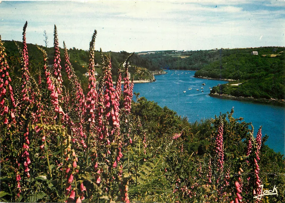 Ufer des Leguer — Bretagne — Éditions d'Art 'Jack' n°22300 - Vorderseite