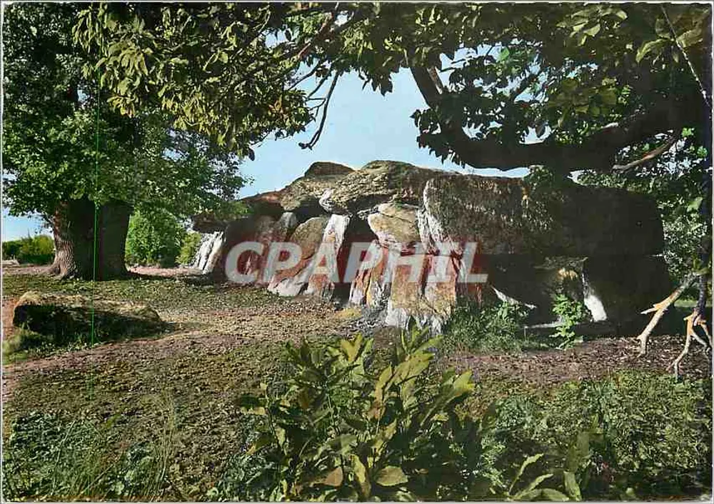 La Roche aux Fées — Megalithischer Denkmal in Janzé (Ille-et-Vilaine) - Vorderseite