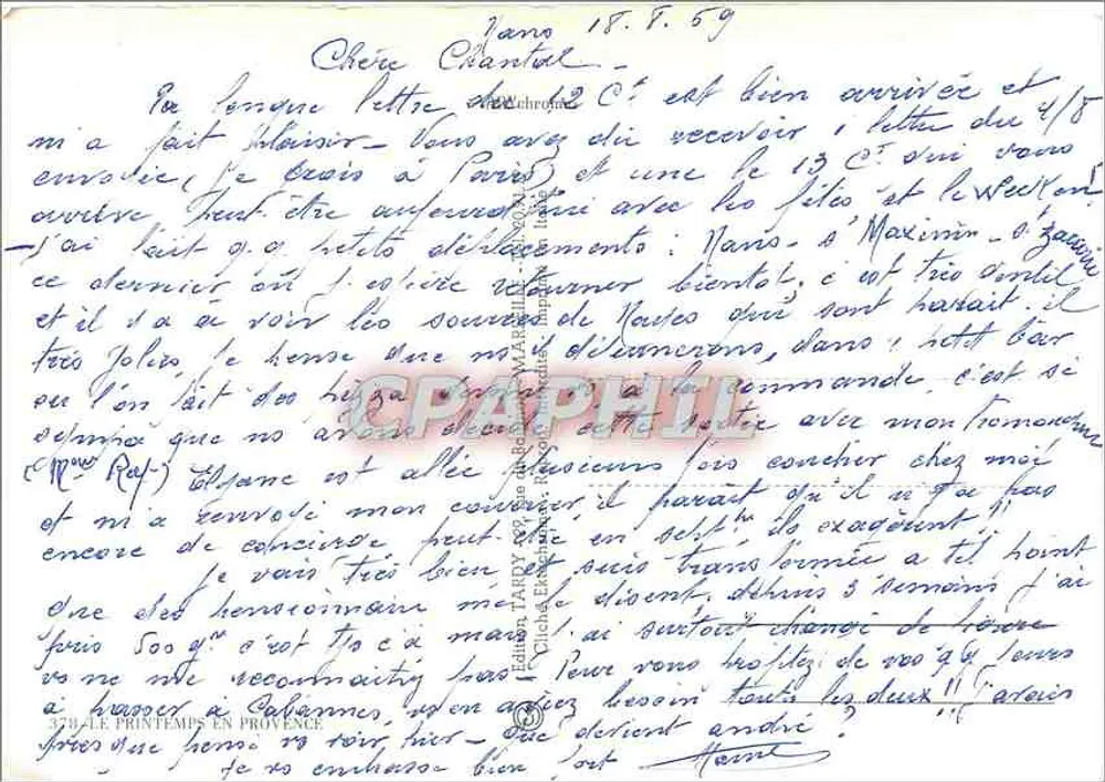 Ovelhas sob cerejeiras em flor — Edição Tâhane na Provência, n° 374 - Verso