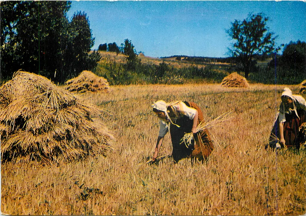As Coligadoras — Provence — Edições Les Belles Images de Provence, n°92 - Frente