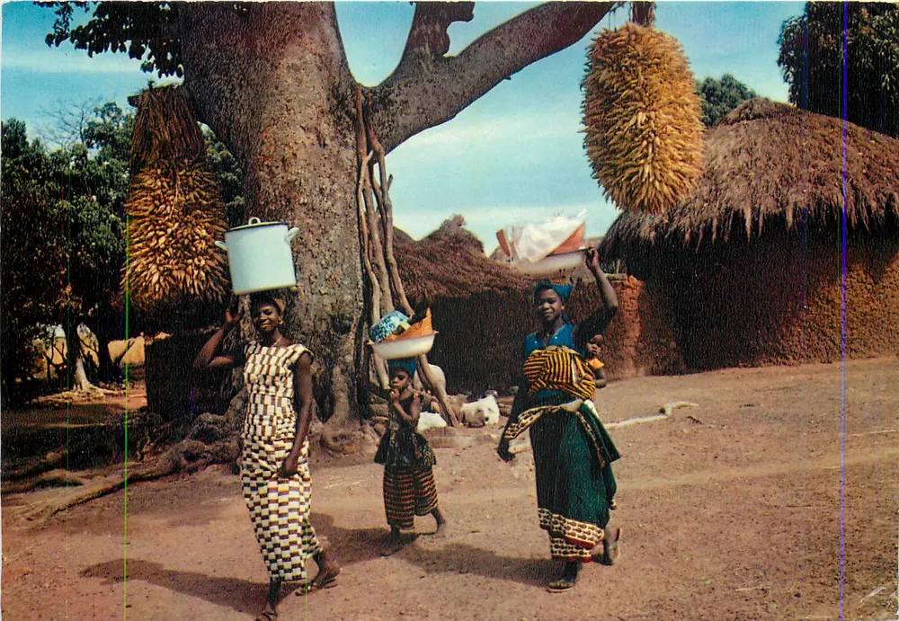 Markt unter einem großen Baobab — Elfenbeinküste — Mexichrome - Vorderseite