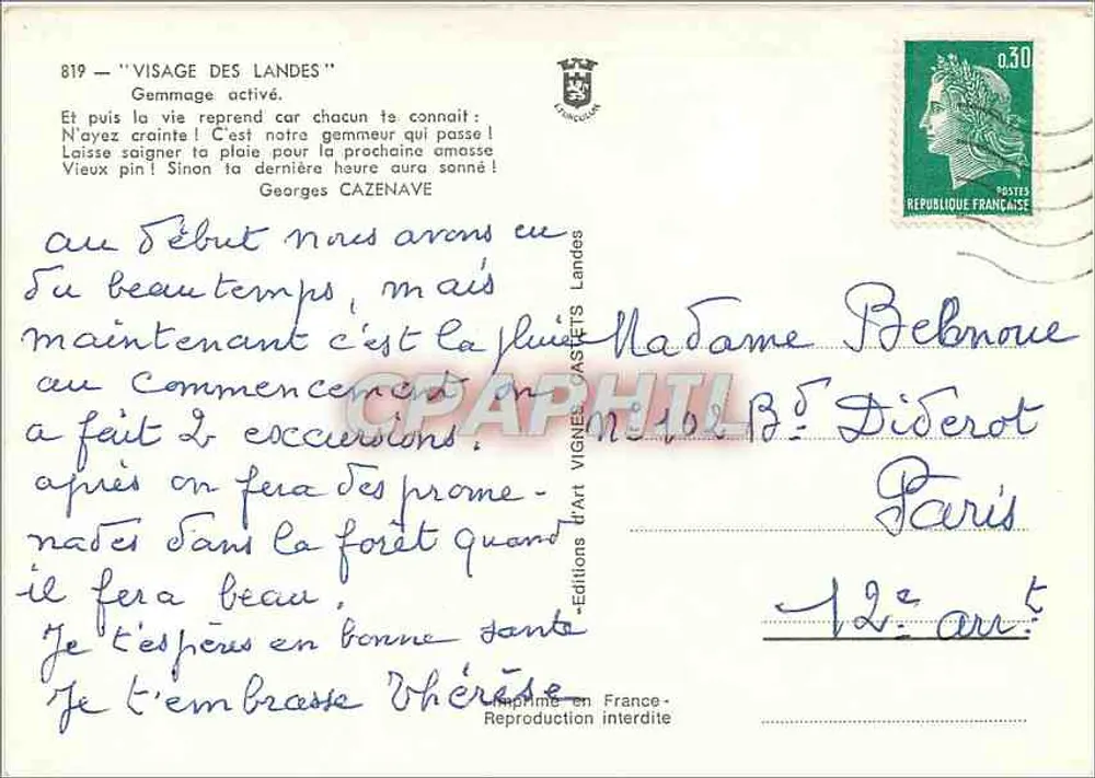 Homem medindo um pinheiro em uma floresta — Vignes — n°819 - Verso