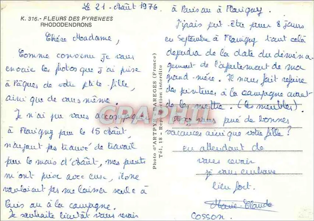 Flores dos Pirineus — Rhododendros — Foto de Artury (França) n°316 - Verso