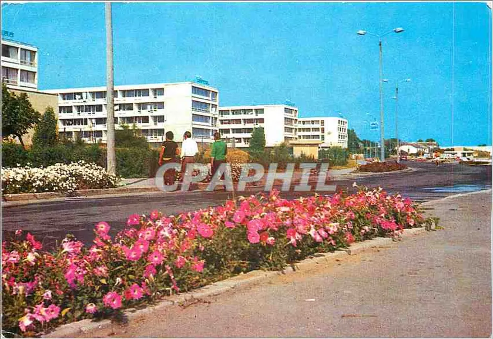 Vista de prédios modernos — jardim florido — Edição Sibiu, n° 46 - Frente