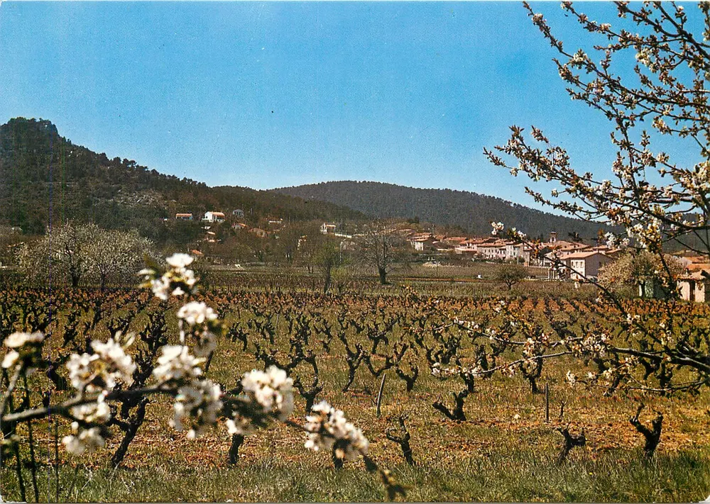 Nans-les-Pins — Allgemeiner Blick — Société Éditions de France - Vorderseite