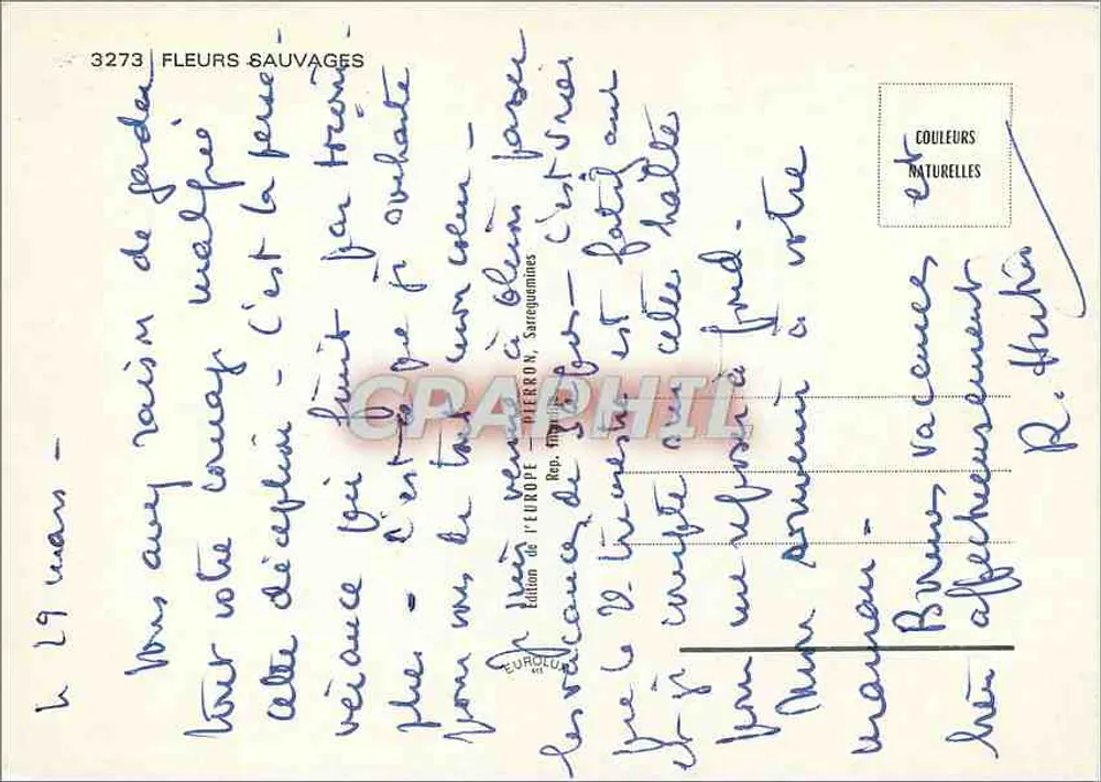 Flores Selvagens — Edição da EURDE PIERRON, Sarreguemines — n° 3273 - Verso