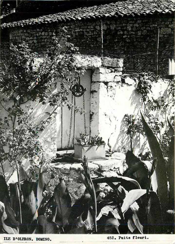 Poço florido — Ilha de Oléron, Domino — Edições das Septfontains - Frente