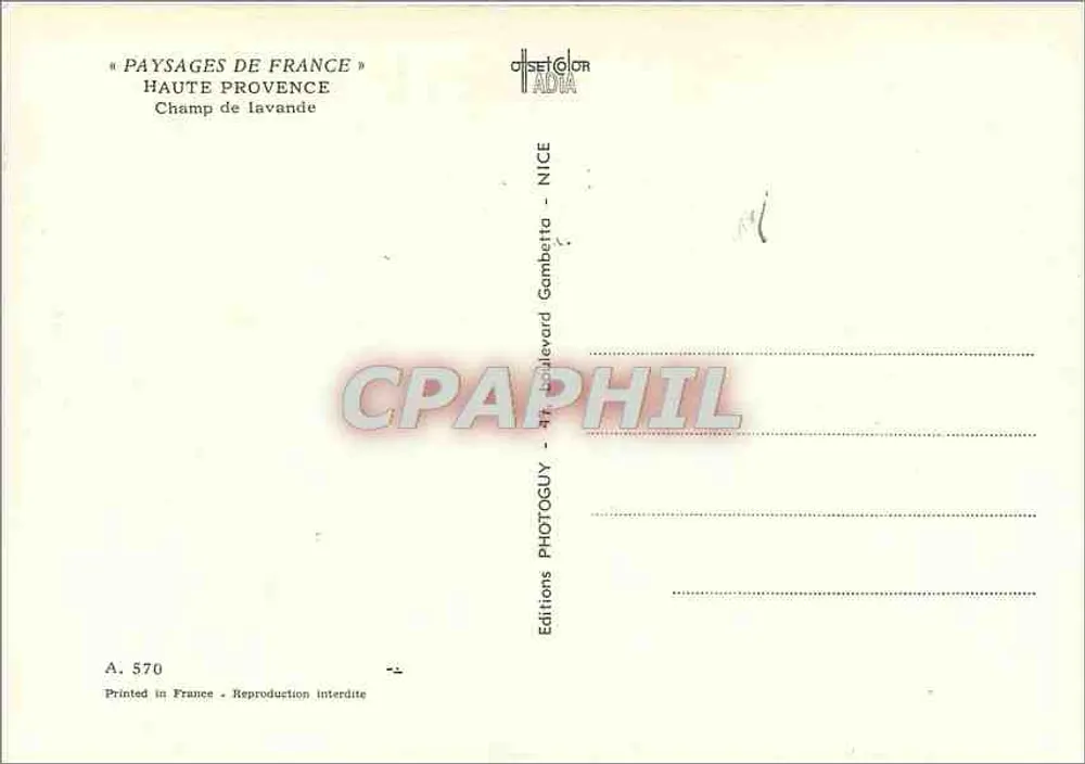 Lavendelfeld — Haute Provence — Editions ORADIA, n° A. 570 - Rückseite