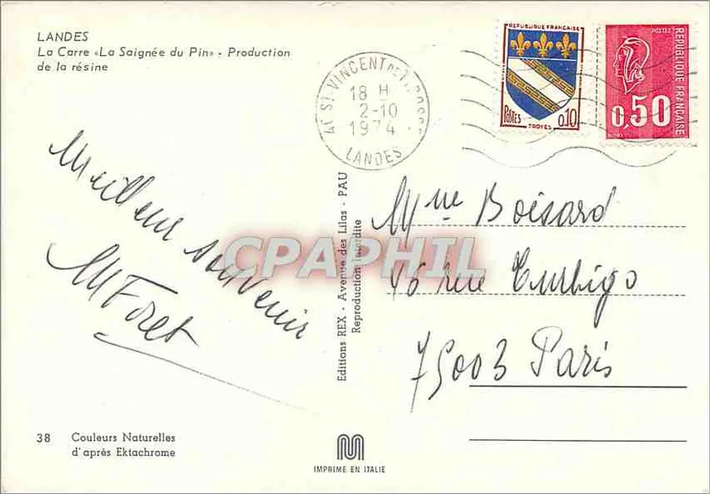Die Fläche « La Saignée du Pin » — Harzproduktion — Editions REX, Nr. 38 - Rückseite