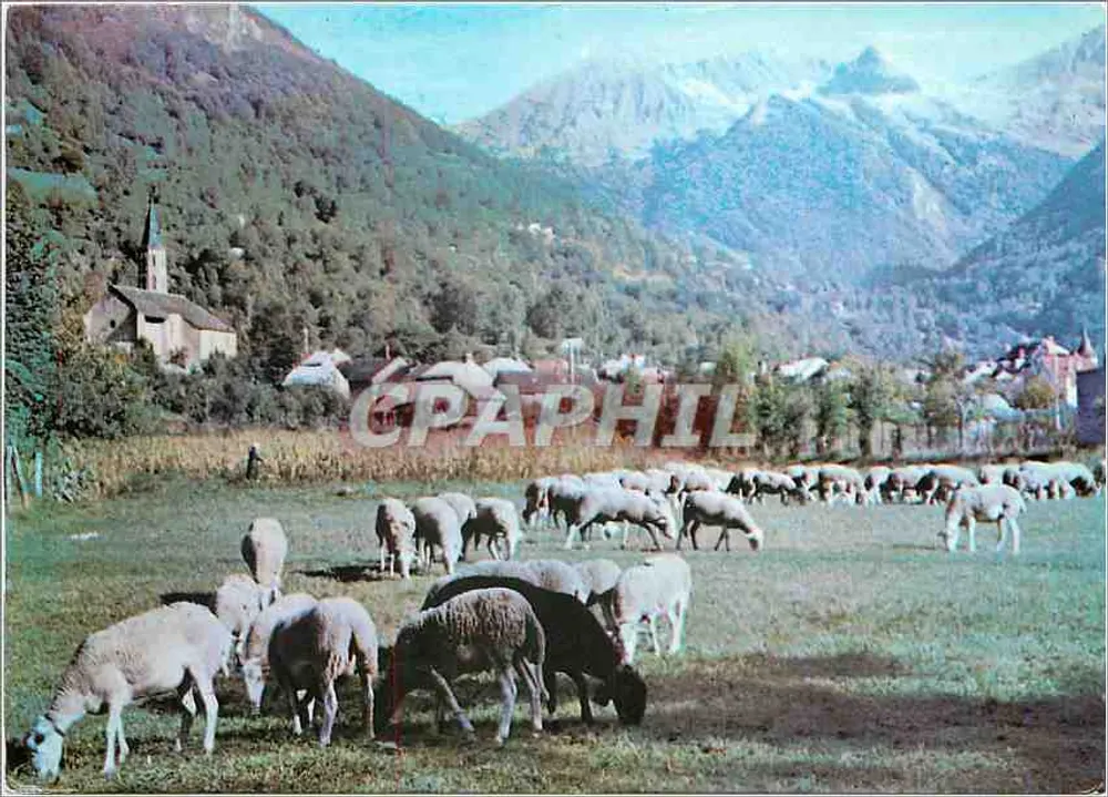ऑलस-ले-बेंस — पास्टोरल सीन — एडिशन्स डार्ट टूकॉल, टौलूज़ - आगे