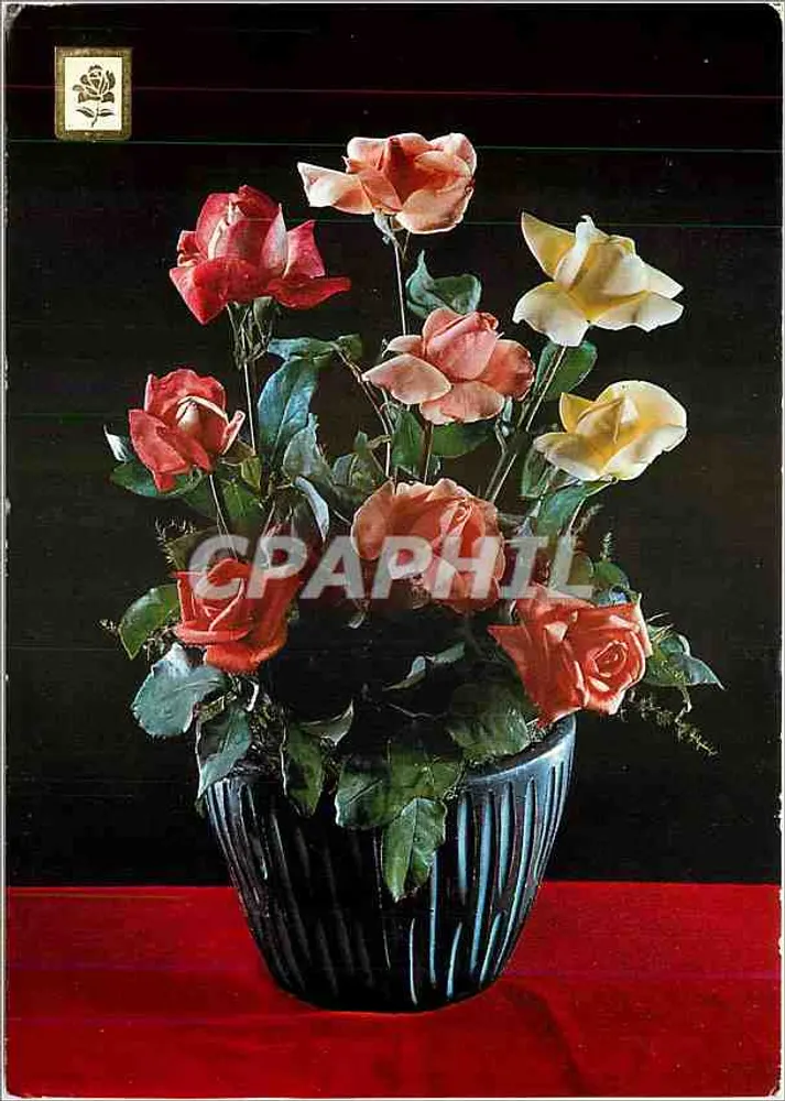 Bouquet de rosas — variedades vermelhas, rosas e amarelas — Edições Piqué, S.A., série K n°112 - Frente
