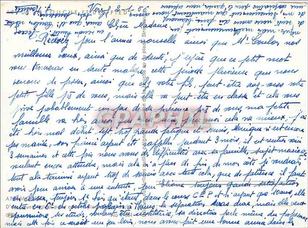 अनेमोन — वॉटरकलर पेंटिंग — सी. पास्चे, क्रमांक 5 - पीछे