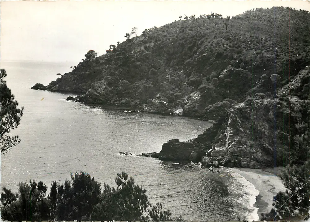 Die Promenade der Maures — Cavalaire-sur-Mer — Colanque — Clipier-Verlag, Nr. 5353 - Vorderseite