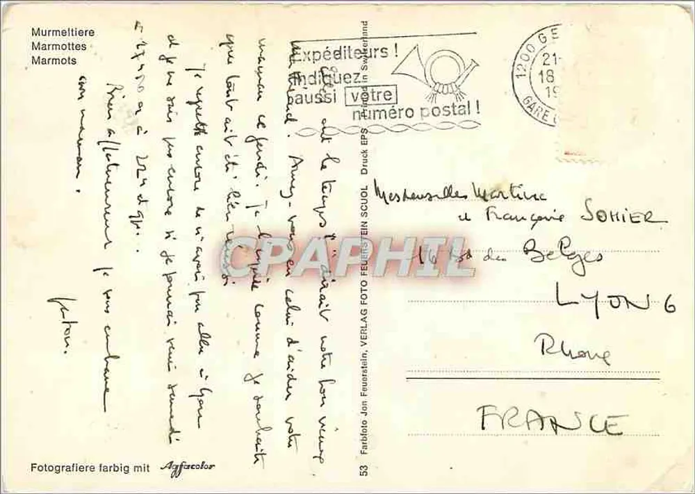 मार्मॉट्स — मरमेल्टाइएर — फैबियानो जॉन फ्रूएर्स्टलिन, संख्या 53 - पीछे