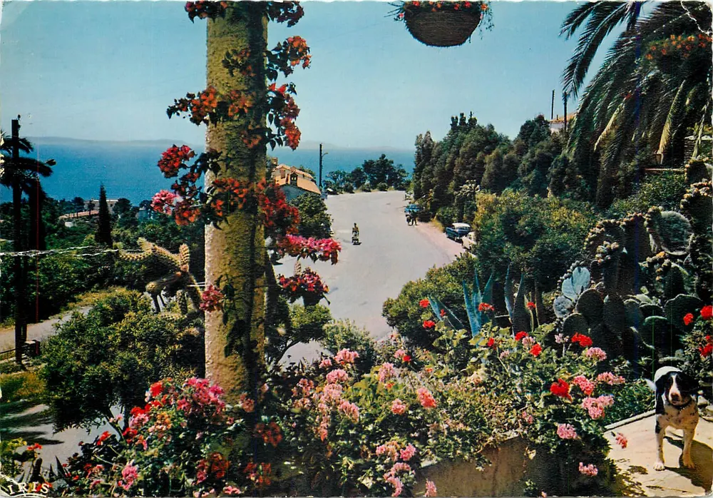Vegetação luxuriante bordando a estrada costeira mediterrânea — Reflexos da Costa Azul — Edições La Côte d'Azur, Mônaco - Frente