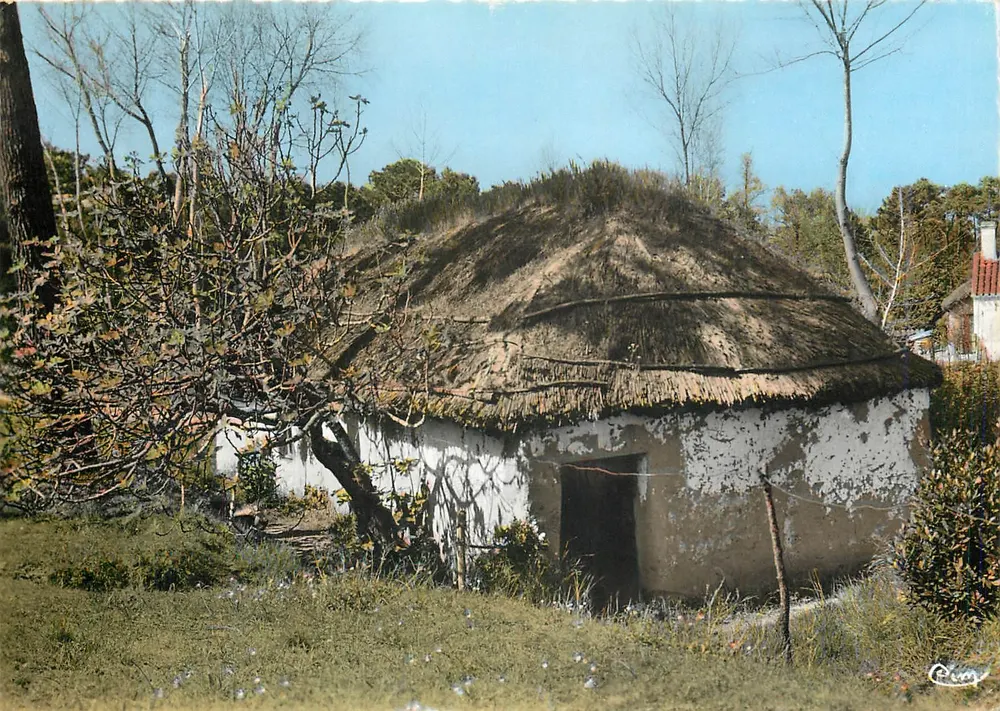 Uma Bourine — Pays de la Loire — Combière - Frente