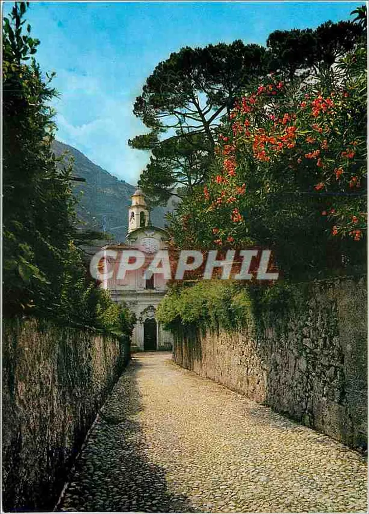 Loveno di Menaggio (Lago di Como) — Incanto di primavera — Sandro Lanfranconi, Bellagio - Vorderseite